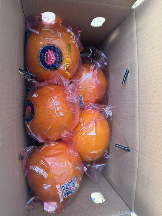 赣南脐橙5斤装 -阳光鲜橙 商品图3