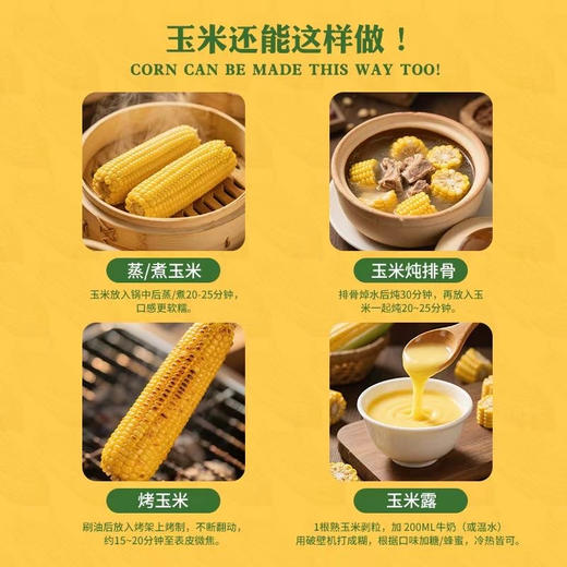 严选 | 黑龙江非转基因糯玉米（真空包装到手十根） 商品图1