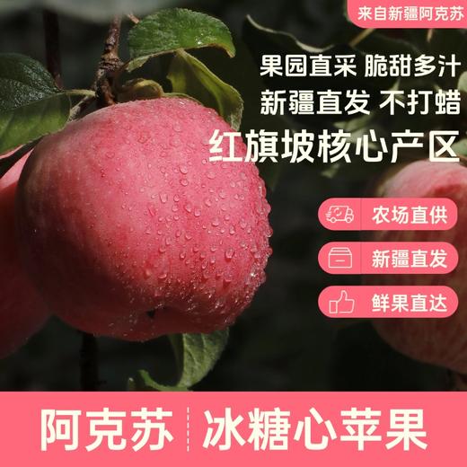 【新疆发货】阿克苏冰糖心苹果5斤装/礼盒装可选 顺丰/京东发货 商品图1