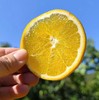 【精品水果顺丰京东发货】寻甘记•赣南脐橙🍊（来自高山果园，复硒红土壤种植种植）国家地理标志性农产品，赣南脐橙400米核心产区，富硒红土壤，成就一颗好橙 商品缩略图4