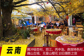 11月30日已成团【云南】腾冲银杏村、怒江、丙中洛、彝族特色村、巍山古城、无量山樱花 10日摄影之旅