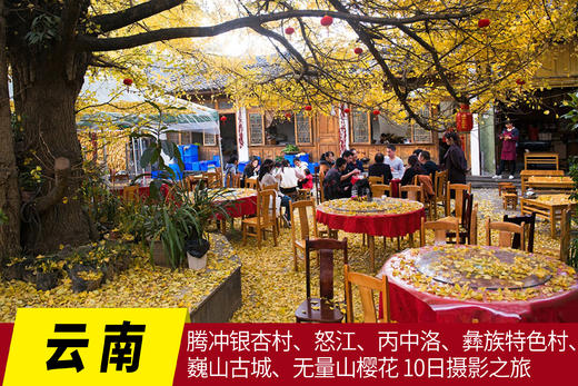 11月30日已成团【云南】腾冲银杏村、怒江、丙中洛、彝族特色村、巍山古城、无量山樱花 10日摄影之旅 商品图0