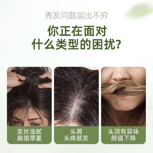 【分仓直发包邮】SukGarden蔬果园精油洗发乳800g（皇后香橄榄/生姜香柠檬/西柚山茶籽） 商品图3