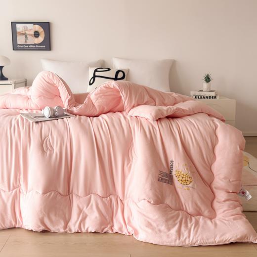 【大豆贴贴被】【特价】大豆纤维被芯提花秋冬被四季被保暖冬天被子 商品图7