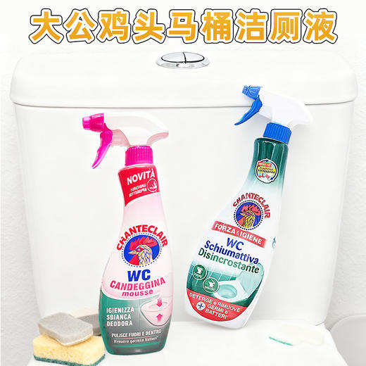 意大利进口大公鸡头马桶洁厕液625ml 商品图0