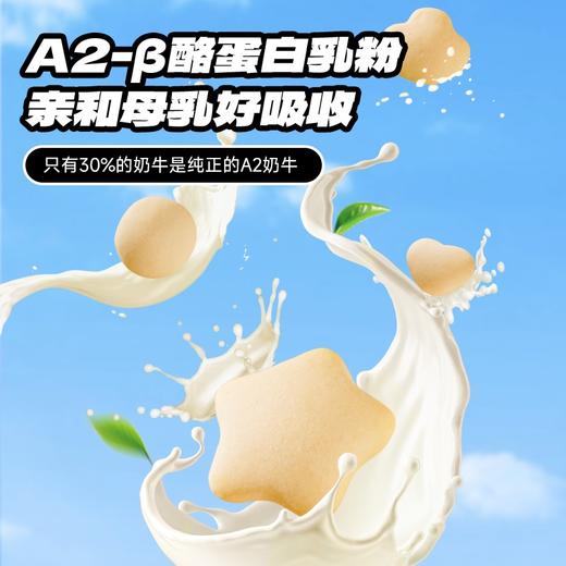 【任选专区】【12月+】益生元高钙芝士小软饼60g 商品图1