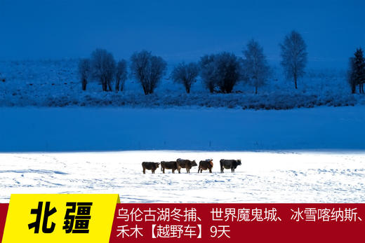 1月16日【颂•雪  北疆】乌伦古湖冬捕、世界魔鬼城、冰雪喀纳斯、禾木【越野车】9天 商品图0
