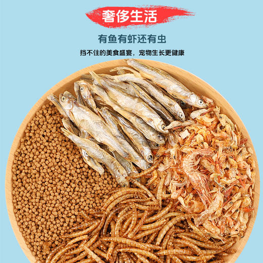 小宠乌龟粮面包虫专用饲料巴西龟鳄龟幼龟通用主粮批发 商品图1