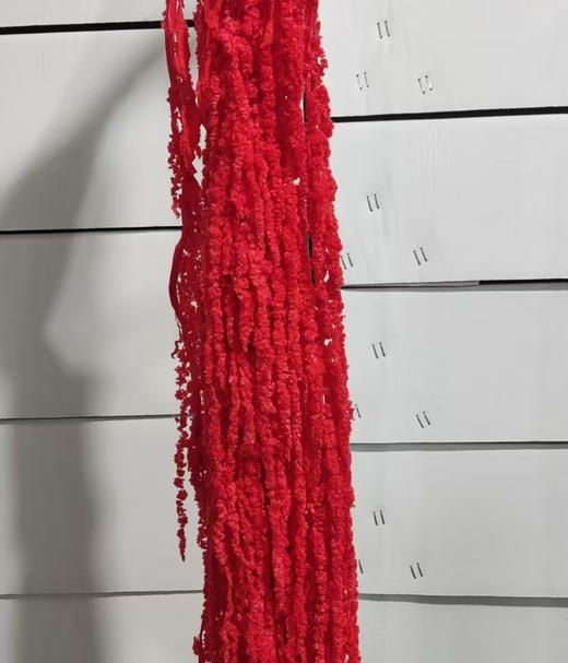 永生花材 | 吊米红 商品图0