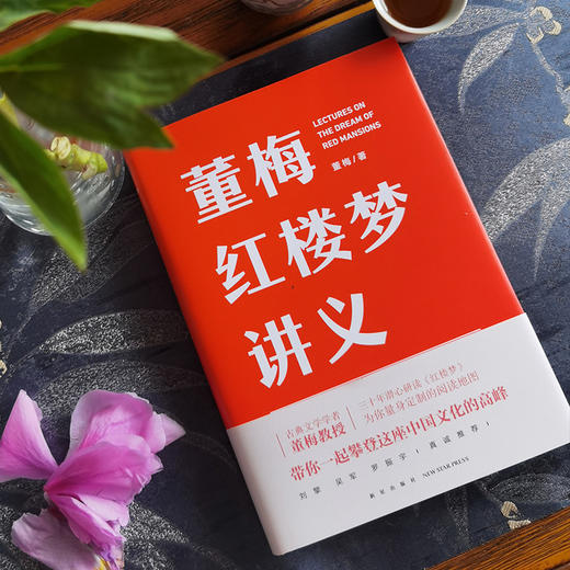 董梅红楼梦讲义(ZYYQ) 商品图2