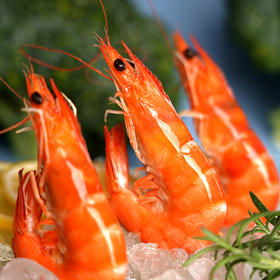 俏虾客盐田虾-熟虾500g*3盒