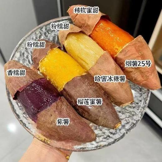 【蜜薯中大果拼装】 山东农科院潍坊种植基地直发 软糯清甜 香气四溢 商品图2