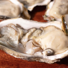 【顺丰快递】正宗乳山生蚝产地直发 味鲜肥美 重水池净化 刺身级生蚝 带产地溯源防伪标 - BQM