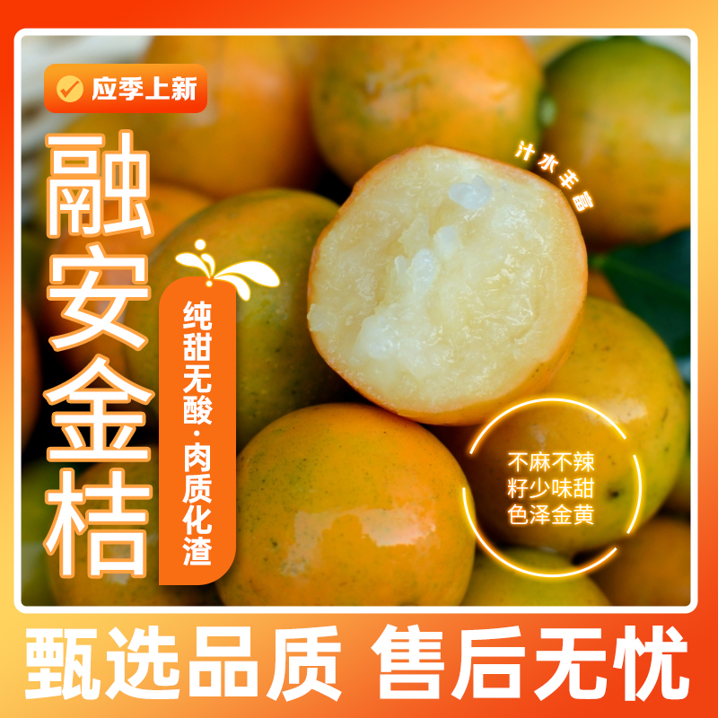 【超模君精选 源头地理性标志农产品 广西特色当季水果！】融安金桔  纯甜无酸 不麻不辣 籽少味甜 色泽金黄 一口一个 1.8斤/2.7斤/3.6斤