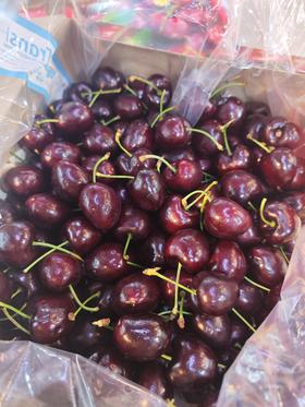 【团购特惠】桑提娜santina车厘子 ！果面干净！ 硬度好，新货浓甜微酸！收货后请放冷藏小段时间再食用，吃多少拿多少，坏果超过10颗以上包售后，轻微裂口，不予售后；介意慎拍~