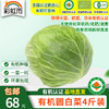 【基地直发】有机蔬菜圆白菜4斤/6斤/10斤自有农场新鲜采摘包邮 商品缩略图0
