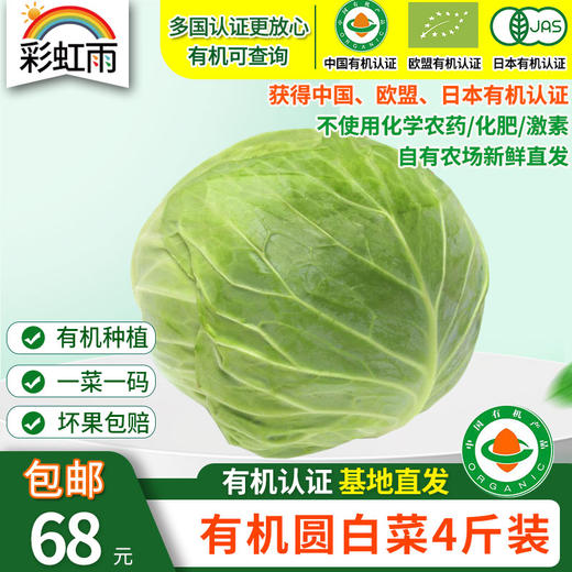 【基地直发】有机蔬菜圆白菜4斤/6斤/10斤自有农场新鲜采摘包邮 商品图0