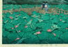 【已售】独角鹿西洋古董1929年日本昭和时代著名画家川瀬巴水签名浮世绘作品《芝弁天池》 商品缩略图1