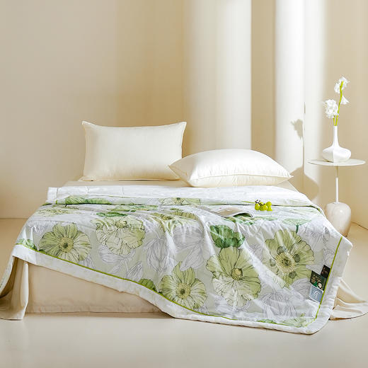 Z.M.N.(法国啄木鸟)沐光棉系列里外全棉夏凉被1.5米-特维ZAB-0013 商品图0