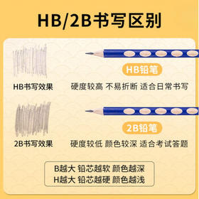 晨光（M&G）文具铅笔HB洞洞铅笔30支 小学生开学练字铅笔 儿童正姿矫姿 三角木杆沾顶易抓握 AWP30718