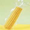 北优天赐 黑龙江甜糯黄玉米软糯香甜3/5/8根装 商品缩略图0