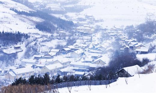 1月20日出发，冬韵小兴安岭摄影6天：伊春·库尔滨雾凇、大平台、高山村、大箐山冬景 商品图12