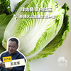 生态翠玉大白菜 | 合作生产* Ecological emerald Chinese cabbage  | Coproduction 商品缩略图0