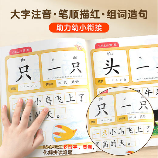 小羊上山分级识字造句书全套正版3-8岁 幼儿园看图趣味识字启蒙早教书籍学前班识字认识汉字写字三到四岁五岁宝宝组词造句看图说话 商品图3
