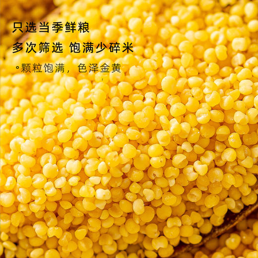 有机胚芽小米新米内蒙古特产黄小米瓶装450g 商品图1
