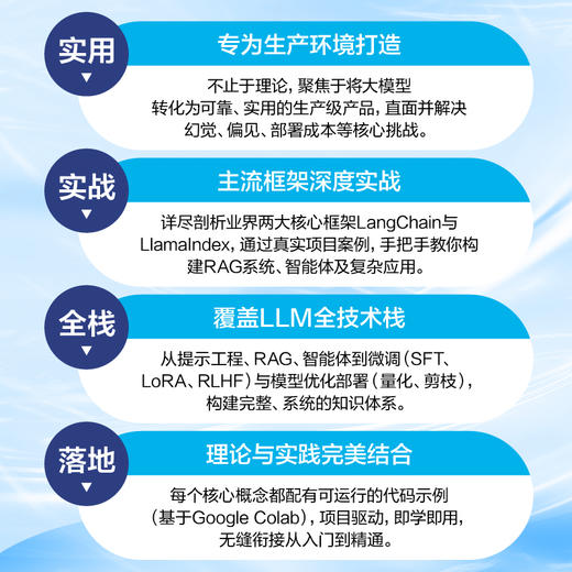 动手构建大模型 大语言模型 自然语言处理 人工智能 提示技术 商品图1