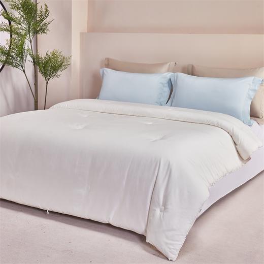 【维科家纺】 全棉三防抑菌防螨纤维冬被 商品图1