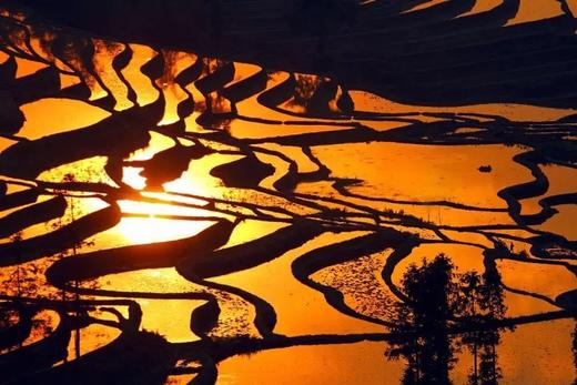 优惠减￥1000，12.22截止【拾色滇东南6天5晚亲子营】去云南温暖过冬！走进现实版“侏罗纪公园”，跟着专家挖恐龙！哈尼梯田摸鱼，建水“赶科举”，闯进弥勒“东方魔幻城”，住哈尼族蘑菇屋！ 商品图10