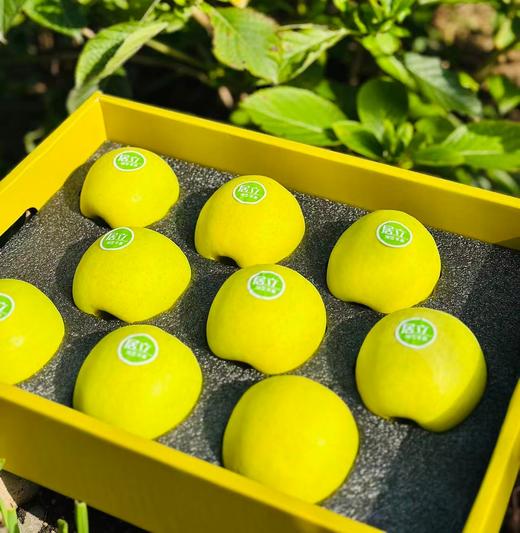 瑞雪王林| 最近到了新果子，个头大，果密度高，水分也足，细致脆甜可口，有股淡淡的清香，回味极了，这就是纯正王林的味道，瑞雪王林~ 商品图6