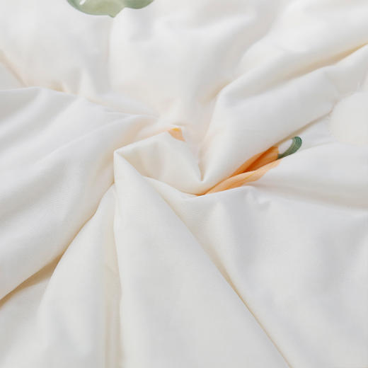 西域楼兰秋冬爆款牛奶系被子  母婴面料舒适亲肤 商品图7