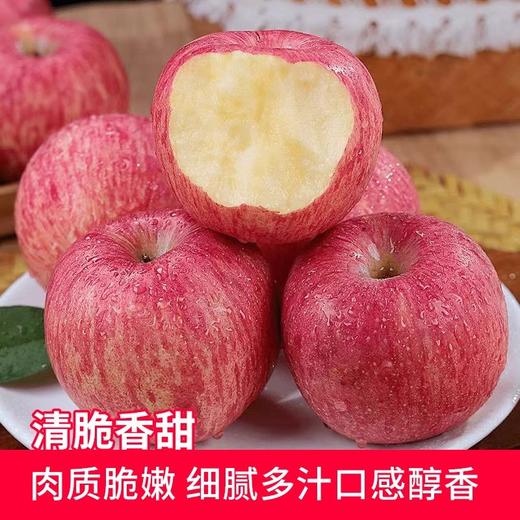 【颗颗好果❗️清脆香甜】新鲜正宗陕西洛川苹果当季水果红富士苹果孕妇脆甜红富士。ja 商品图3