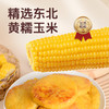 优选|拾沃 香煎玉米浆包 纯玉米粒磨浆 低脂早餐 1080g/袋（90g*12个） 商品缩略图1