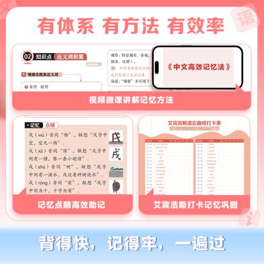 小升初背默本：语文 商品图3