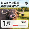 隔壁刘奶奶-水牛配方MINI奶125ml*18盒 商品缩略图3