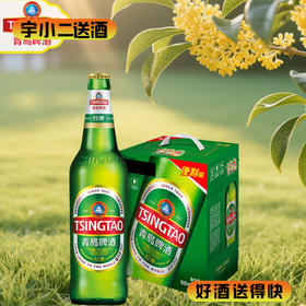 【啤酒】青岛瓶装500ml*6