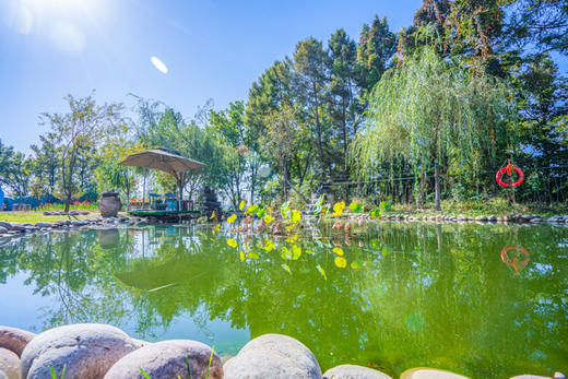 抚顺慢姑娘德盛居轰趴馆 商品图6