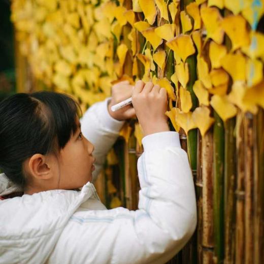 2025 阿柑银杏坝坝宴 | 银杏树下一场秋宴、一碗秋茶，走进一个乡村 商品图2