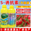 s诱抗素龙蟒福生着色转色剂番茄花芽分化水稻小麦烟草生长调节剂 商品缩略图4