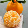 【好吃的品牌耙耙柑来喽】橘子味浓郁，纯甜（甜），水嫩多汁，明星爆款产品 商品缩略图4