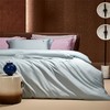 【维科家纺】  天雪长绒棉A类抑菌四件套-竹影清风（清水蓝） 商品缩略图4