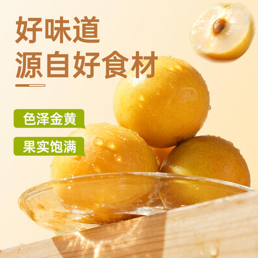 【100积分+9.5元兑换】几多全紫苏酸枣粒300g/盒 湖南特产酸甜可口 保质期90天 商品图2