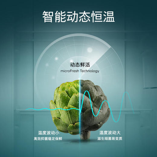 西门子KT99V1250C 商品图6