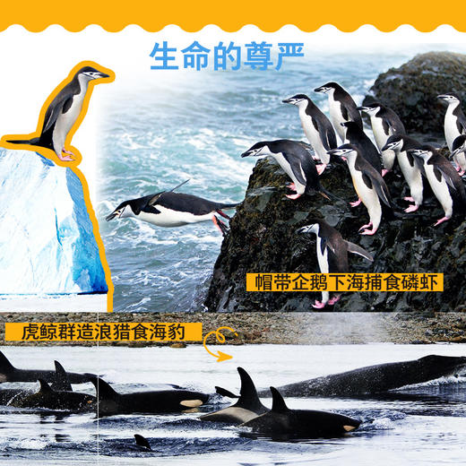 冰冻星球 *乎想象的奇妙世界 第三版 BBC纪录片同名图书 极地纪录片开山之作 商品图1