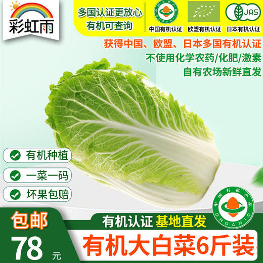 【基地直发】 有机大白菜6斤装10斤装欧盟认证包邮 商品图0