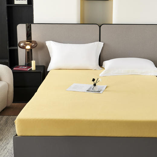 西域楼兰暖冬火山绒床笠 单床笠 商品图3