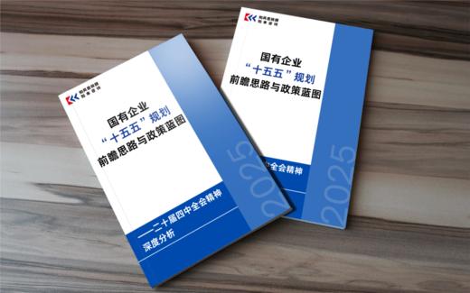 改革微报告 | 国有企业“十五五”规划前瞻思路与政策蓝图研究报告 ——二十届四中全会精神深度分析 商品图2